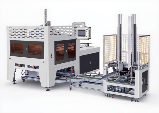 Multi Functional Fully Automatic Fruit Box Folding Machine