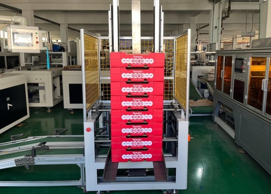 Multi Functional Fully Automatic Fruit Box Folding Machine