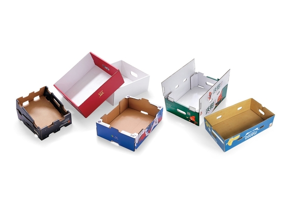 Multi Functional Fully Automatic Corrugated Carton Fruit Box Adhesive Folding Machine