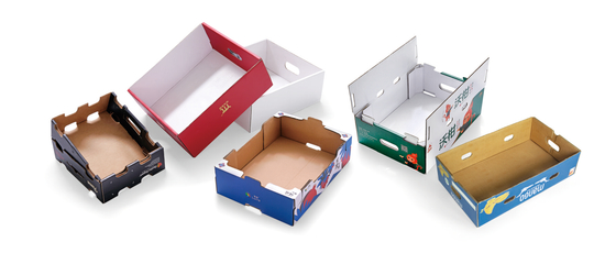 Fully Automatic Box  Folding Making Machine Through A Computer Program