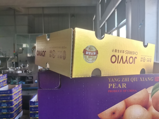 Fully Automatic Multifunctional Fruit Box Folding Machine