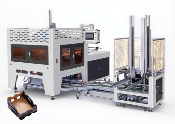 Automatic Corrugated Carton Fruit Box Adhesive Folding Machine With Collect Box