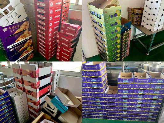 Automatic Corrugated Carton Fruit Box Adhesive Folding Machine With Collect Box