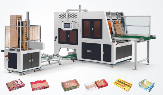 Fully Automatic Multifunctional Fruit Box Folding Machine