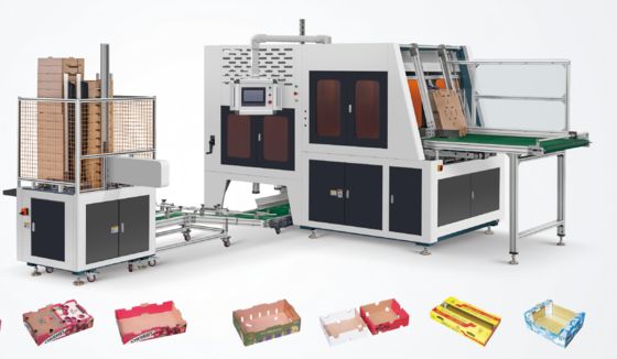 Máquina plegadora de cajas de fruta multifuncional totalmente automática